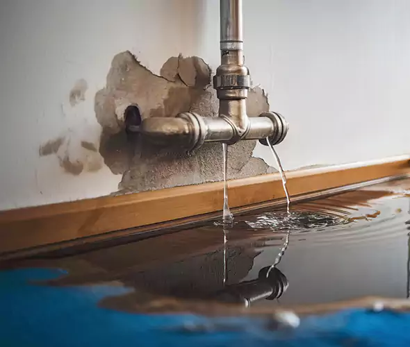 Professional Water Damage Restoration Experts in Grove City, OH — Fast, Reliable & Certified