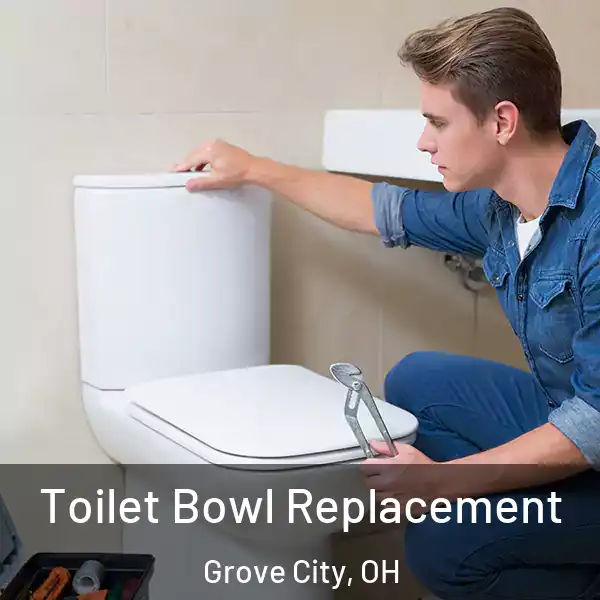  Toilet Bowl Replacement Grove City, OH