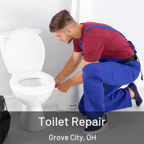  Toilet Repair Grove City, OH