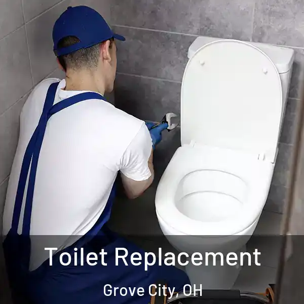  Toilet Replacement Grove City, OH