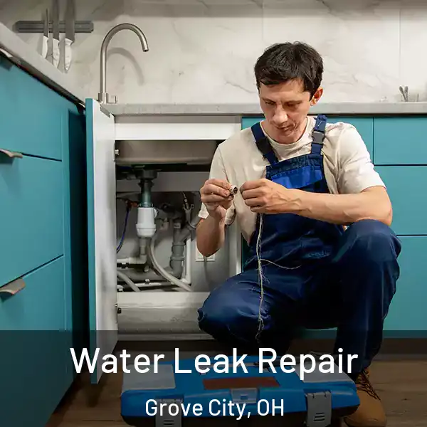  Water Leak Repair Grove City, OH